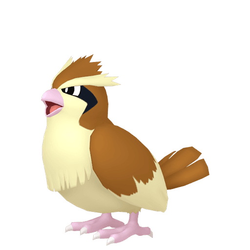 Artwork for pidgey