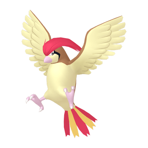 Artwork for pidgeotto