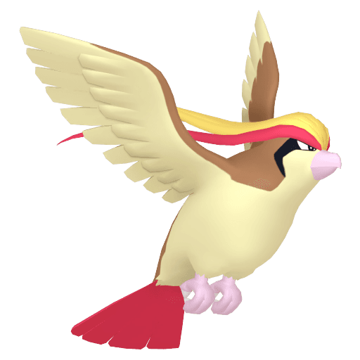 Artwork for pidgeot